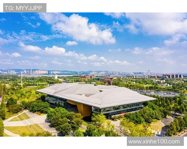 杭州羽毛球队转型之路的挑战与机遇探索特别报道